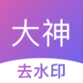 大神水印相机app